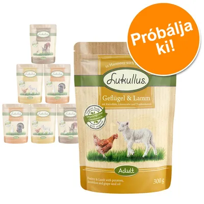 Lukullus Geflügel & Lamm 300 g, Adult feliratú tasak, narancssárga körben: Próbálja ki! Több Lukullus ízváltozat csomagolása látható a háttérben.