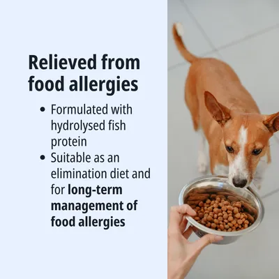 Sollevato dalle allergie alimentari. Formulato con proteine di pesce idrolizzate. Adatto come dieta di eliminazione e per la gestione a lungo termine delle allergie alimentari. Sollevato dalle allergie alimentari. Formulato con proteine di pesce idrolizzate. Adatto come dieta di eliminazione e per la gestione a lungo termine delle allergie alimentari.