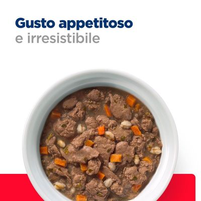 Ciotola con bocconcini di carne, carote e cereali in umido. Testo visibile: Gusto appetitoso e irresistibile.