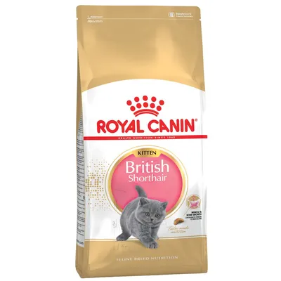 Saco de pienso Royal Canin Kitten British Shorthair, imagen de un gatito gris y croquetas. Texto visible: Muscle & Bone Growth, Tailor-made nutrition.