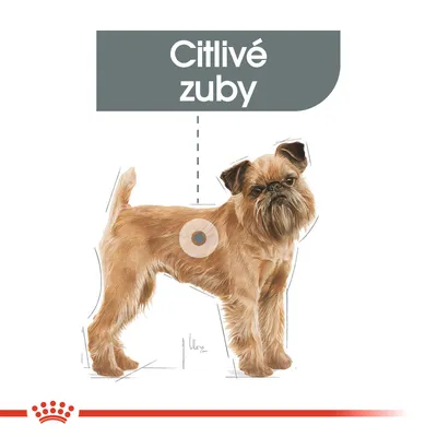 Ilustrace psa s textem 'Citlivé zuby' v horní části obrázku.