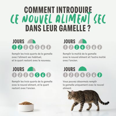 Guide pour l’introduction progressive d’une nouvelle nourriture sèche dans la gamelle sur sept jours, avec le rapport des quantités pour chaque période et un chat à côté d’une gamelle.