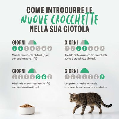 Istruzioni per l’introduzione graduale delle nuove crocchette in 7 giorni, con proporzioni di miscelazione per ogni periodo, presentate in quattro sezioni con testo e simboli.