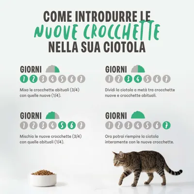 Istruzioni per l’introduzione graduale delle nuove crocchette in 7 giorni, con proporzioni di miscelazione per ogni periodo, presentate in quattro sezioni con testo e simboli. Istruzioni per l’introduzione graduale delle nuove crocchette in 7 giorni, con proporzioni di miscelazione per ogni periodo, presentate in quattro sezioni con testo e simboli.