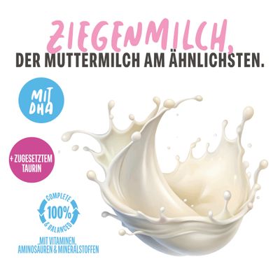 Schesir Kitten Ziegenmilch
