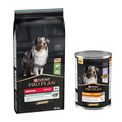 PURINA PRO PLAN Toutes tailles Adulte 1+ Croquettes et nourriture humide, riche en protéines, ingrédient n°1 : poulet, sans colorants, sac de 16 kg et boîte illustrés.