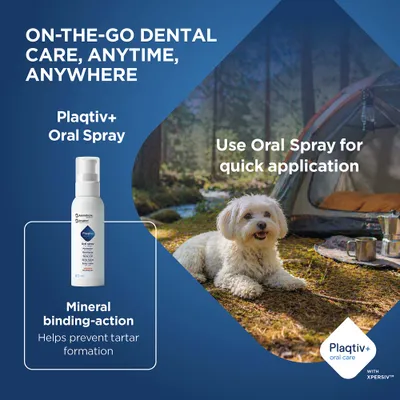 Plaqtiv+ Oral Spray with mineral binding to prevent tartar. Quick application recommended when on the go. 60 ml bottle shown.