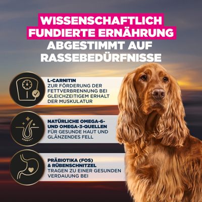 Wissenschaftlich fundierte Ernährung, abgestimmt auf Rassebedürfnisse. L-Carnitin fördert Fettverbrennung, Omega-6 und Omega-3 für Haut und Fell, Präbiotika & Rübenschnitzel für Verdauung.