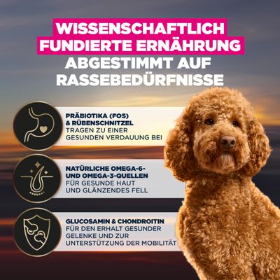 Wissenschaftlich fundierte Ernährung, abgestimmt auf Rassebedürfnisse. Präbiotika und Rübenschnitzel für Verdauung, Omega-6/3 für Haut/Fell, Glucosamin & Chondroitin für Gelenke/Mobilität.