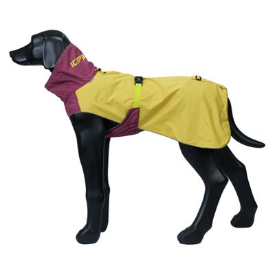 Gelb-bordeauxfarbener Hundemantel mit gelbem Verschluss, aufgesticktem Schriftzug 'ICEPAW' am Kragen, präsentiert an schwarzem Hundemodell.