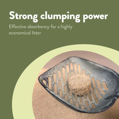 Strong clumping power. Effective absorbency for an especially economical litter, shown with a scoop and a firm clump of litter.