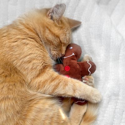 Coussin de jeu pour chat Aumüller Bonhomme en pain d'épices - 1 pièce