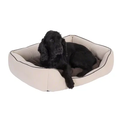 Czarny pies leży w prostokątnym legowisku z jasnobeżowego materiału z brązowym wnętrzem. Widoczne miękkie ścianki i poduszka. Czarny pies leży w prostokątnym legowisku z jasnobeżowego materiału z brązowym wnętrzem. Widoczne miękkie ścianki i poduszka.