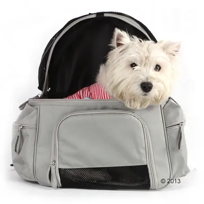 Borsa da trasporto grigia con finestra a rete, aperta, cane seduto all'interno. La borsa ha più tasche con cerniera e manico.