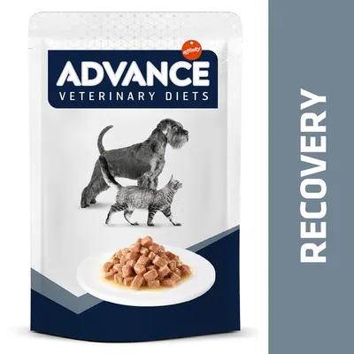 ADVANCE Veterinary Diets Recovery natvoer, afbeelding van hond en kat, stukjes voer op een bord, merknaam affinity zichtbaar op verpakking.