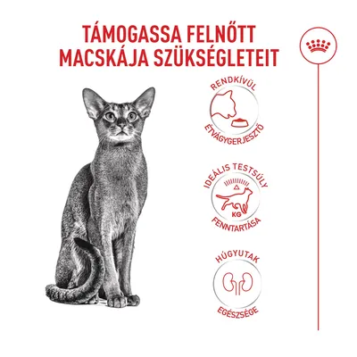 Grafika macskával és három szimbólummal: étvágyserkentés, az ideális testsúly megőrzése, a húgyutak egészségének támogatása. Magyar szöveg a felnőtt macskák támogatására.