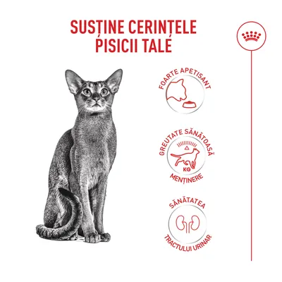 Royal Canin Fussy Exigent - 2 kg