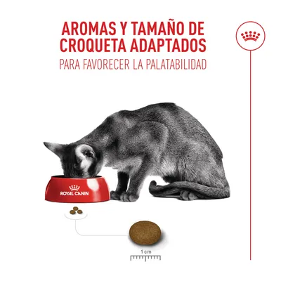 Royal Canin Fussy Exigent - 10 + 2 kg ¡gratis!