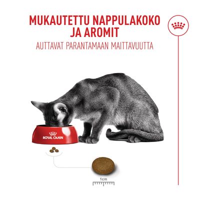 Kissa syö kupista, jossa on Royal Canin -logo, teksti: MUKAUTETTU NAPPULAKOKO JA AROMIT, AUTTAVAT PARANTAMAAN MAITTAVUUTTA, nappulakoko esitetty mittakaavassa 1 cm.