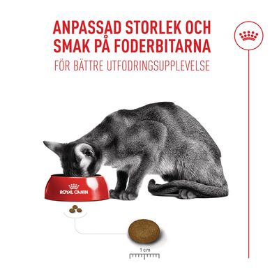 10 + 2 kg på köpet! 12 kg Royal Canin Fussy Exigent - 10 + 2 kg på köpet!