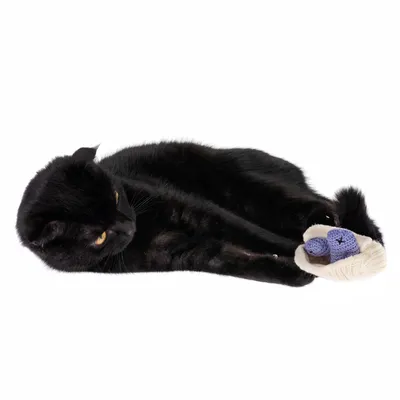 Gato negro juega con juguete para gatos tejido en blanco y lila.