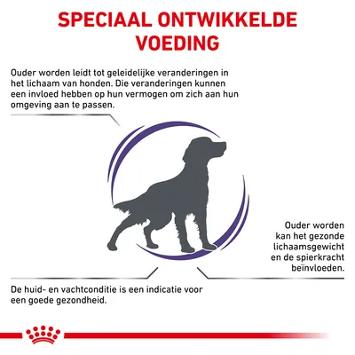 Speciaal ontwikkelde voeding. Ouder worden leidt tot veranderingen bij honden, beïnvloedt aanpassing, lichaamsgewicht, spierkracht en huid- en vachtconditie als indicatie voor gezondheid.