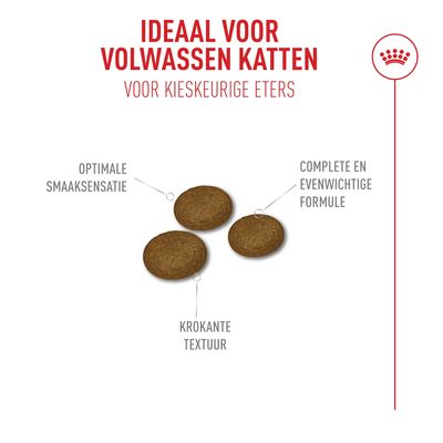 Ideaal voor volwassen katten, voor kieskeurige eters. Optimale smaaksensatie, knapperige textuur, complete en evenwichtige formule.