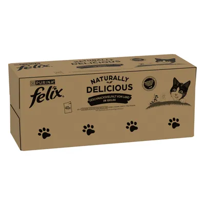 Mégapack Felix Naturally Delicious 80 x 80 g - saveurs de la campagne Mégapack Felix Naturally Delicious 80 x 80 g - saveurs de la campagne