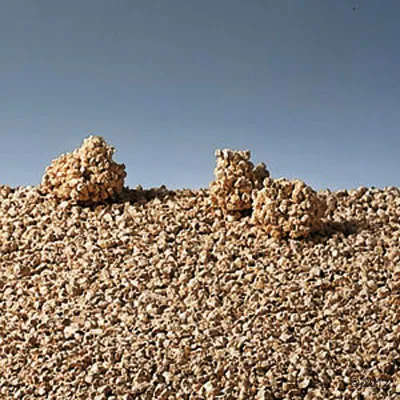Close-up of clumping cat litter with sand-like texture and formed clumps.