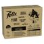 Megapack Felix "So gut wie es aussieht" Pouches 80 x 85 g Fisch Mixpaket 2 (Scholle, Lachs, Thunfisch, Kabeljau)