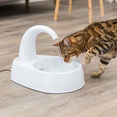 Katt dricker från vit vattenfontän i plast med rinnande vatten, placerad på golv inomhus. Strömkabel synlig vid sidan av fontänen.