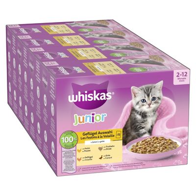 Whiskas Junior Klassiskt urval i sås, 48 portionspåsar för katter 2–12 månader. Smaker: nötkött, kyckling, lamm, fjäderfä. 100 % balanserad kost.