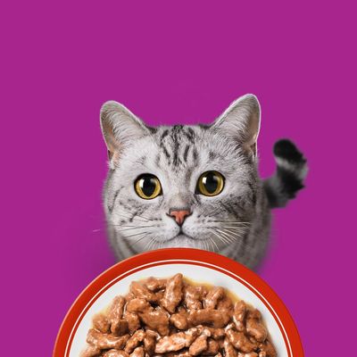 Whiskas Senior tasakos 48 x 85 g