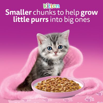 Whiskas Kitten Pouches in Jelly - Fish Selection in Jelly (12 x 85g)