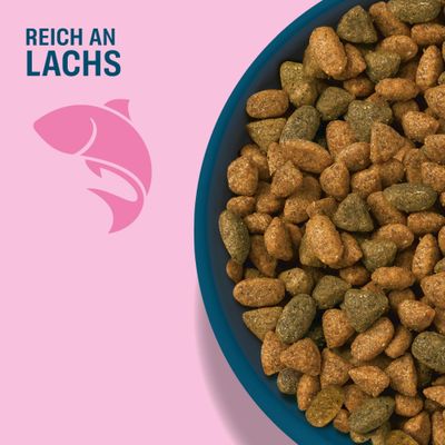 Schale mit braun-grünem Trockenfutter, daneben Text: Reich an Lachs und Fischsymbol.