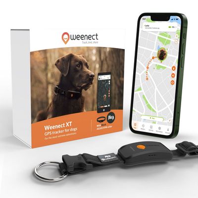 Weenect Pet GPS Tracker XT pro psy