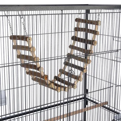 Échelle suspendue en bois à barreaux ronds fixée par des chaînes métalliques à l’intérieur d’une cage pour petits animaux ou oiseaux.