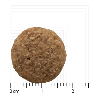 Round dry food piece with a diameter of approx. 2 cm, shown on a measuring scale.