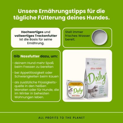 Sparpaket Almo Nature Daily 18 x 300 g - mit Huhn, Schinken und Käse