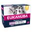 Eukanuba Kitten Getreidefrei 12 x 85 g Huhn