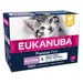 Eukanuba Kitten Getreidefrei 12 x 85 g Huhn
