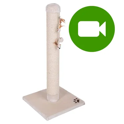 Przycisk odtwarzania wideo. Kliknij tutaj, aby obejrzeć film prezentujący drapak dla kota z zabawkami na sznurku i podstawą z motywem łapki. Przycisk odtwarzania wideo. Kliknij tutaj, aby obejrzeć film prezentujący drapak dla kota z zabawkami na sznurku i podstawą z motywem łapki.