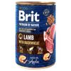 Brit Premium by Nature 6 x 400 g umido per cane Agnello