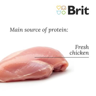 Brit Fresh Chicken with Potato száraztáp csomagolás, látható feliratok: FRESH CHICKEN, Fresh Chicken with Potato, GREAT LIFE, adult dogs, burgonya, hajdina, alma, kakukkfű.