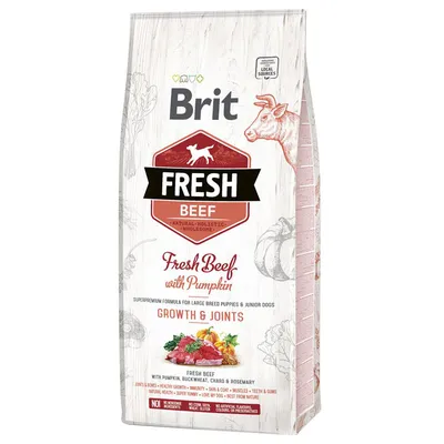 Brit Fresh Puppy Large Βοδινό με Κολοκύθα - Πακέτο Προσφοράς: 2 x 12 kg