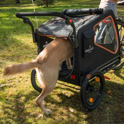 Nomad Tales Fahrradanhänger mit schwarzem Stoff und orangefarbenen Akzenten. Ein Hund steigt durch den hinteren Eingang ein.
