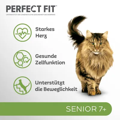 Perfect Fit Senior 7+. Podpira zdravje telesa: močno srce, zdrava celična funkcija, gibljivost. Slika mačke poleg prednosti izdelka.
