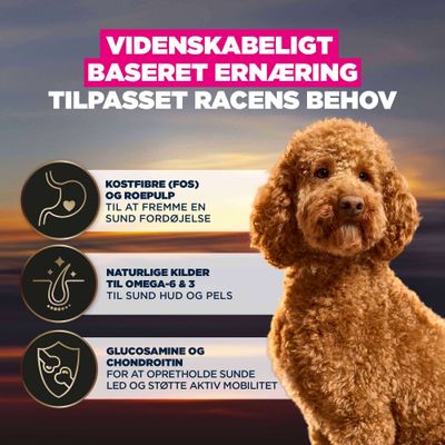 Videnskabeligt baseret ernæring, tilpasset racens behov. Kostfibre, omega-6 & 3, glucosamin og chondroitin for fordøjelse, hud, pels og mobilitet.