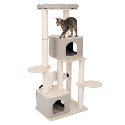 Arbre à chat beige avec deux niches carrées, plusieurs plateformes et poteaux en sisal, un chat tigré sur la plateforme supérieure et un chat blanc dans la niche du bas.