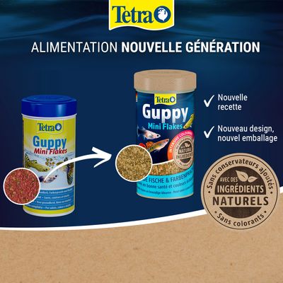 Tetra Guppy Mini Flakes avec une nouvelle formule, un nouveau design et un nouvel emballage. Contient des ingrédients naturels, sans conservateurs ni colorants ajoutés.